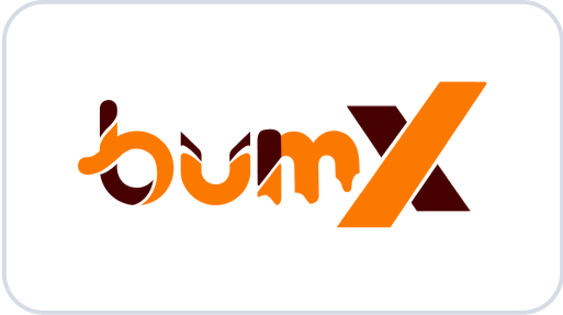 BumX.VN - nền tảng kiếm tiền online top 1